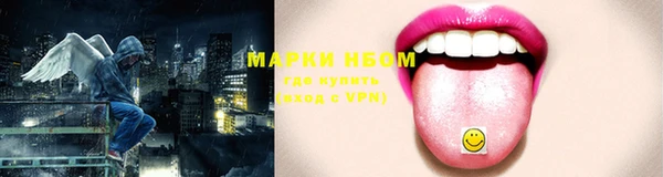 ECSTASY Чегем