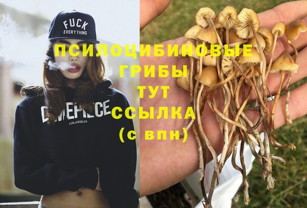ECSTASY Балабаново