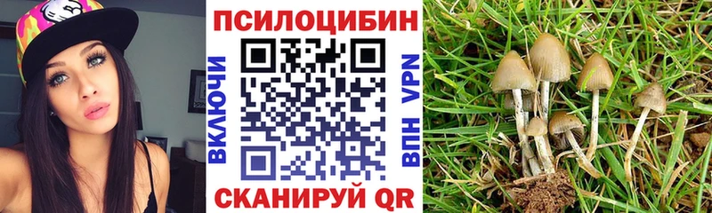 Галлюциногенные грибы Psilocybine cubensis  купить  цена  Новокубанск 